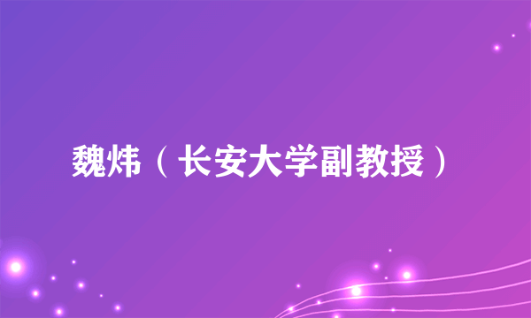 魏炜（长安大学副教授）