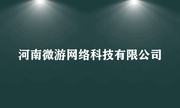 河南微游网络科技有限公司