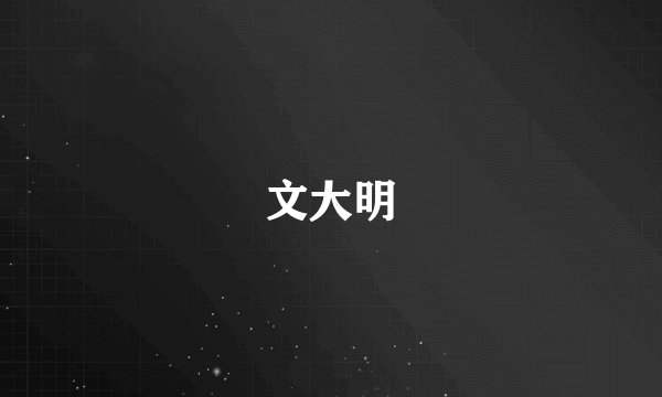 文大明