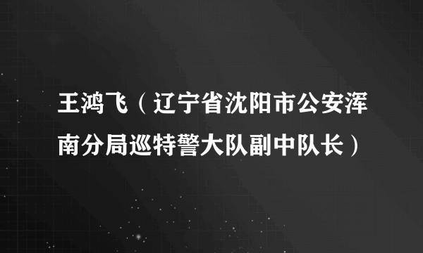 王鸿飞（辽宁省沈阳市公安浑南分局巡特警大队副中队长）