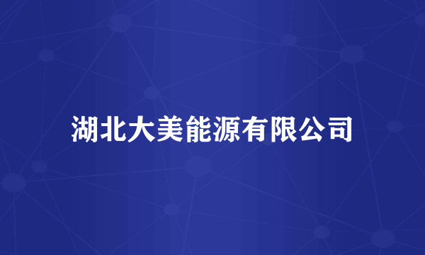 湖北大美能源有限公司