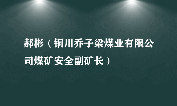 郝彬（铜川乔子梁煤业有限公司煤矿安全副矿长）