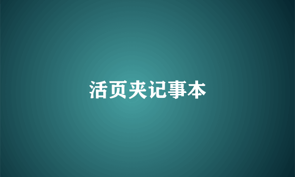 活页夹记事本