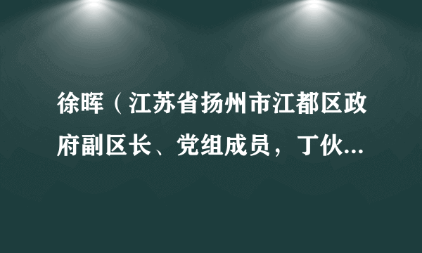 徐晖（江苏省扬州市江都区政府副区长、党组成员，丁伙镇党委书记）