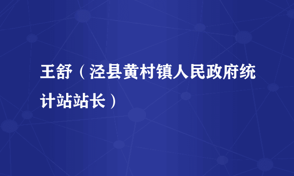 王舒（泾县黄村镇人民政府统计站站长）