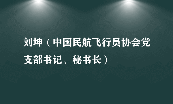 刘坤（中国民航飞行员协会党支部书记、秘书长）