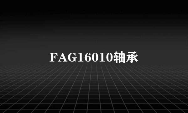 FAG16010轴承