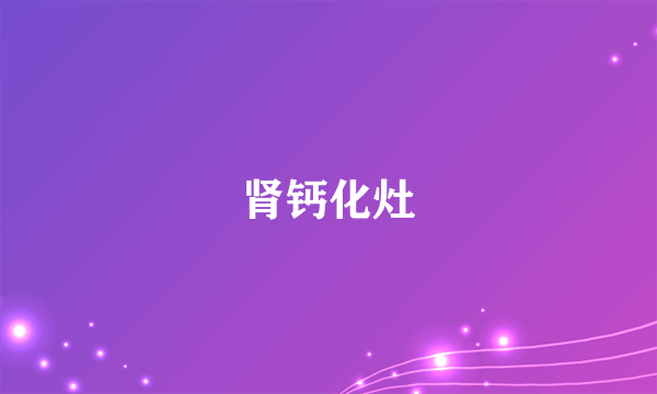 肾钙化灶