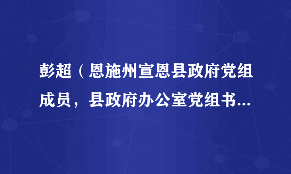 彭超（恩施州宣恩县政府党组成员，县政府办公室党组书记、主任）
