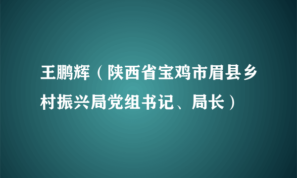 王鹏辉（陕西省宝鸡市眉县乡村振兴局党组书记、局长）