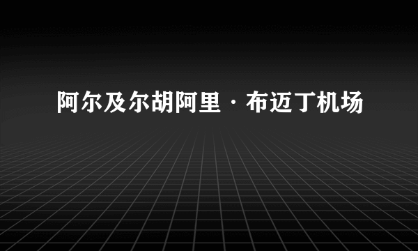 阿尔及尔胡阿里·布迈丁机场