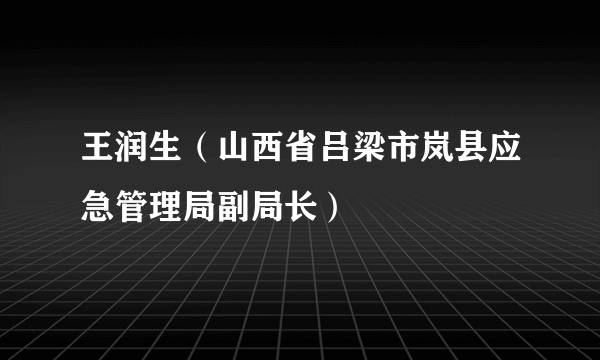 王润生（山西省吕梁市岚县应急管理局副局长）