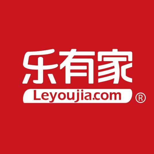 深圳市乐有家控股集团有限公司