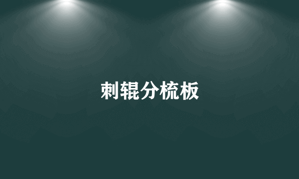 刺辊分梳板