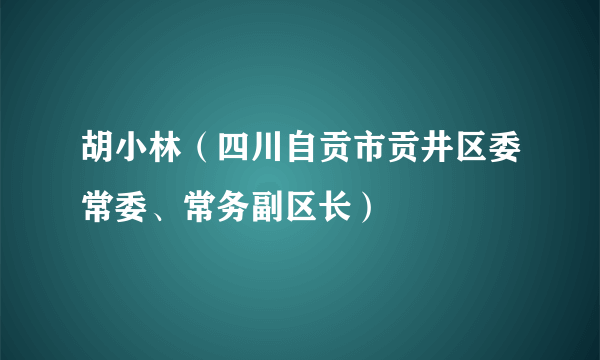 胡小林（四川自贡市贡井区委常委、常务副区长）
