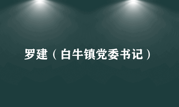 罗建（白牛镇党委书记）