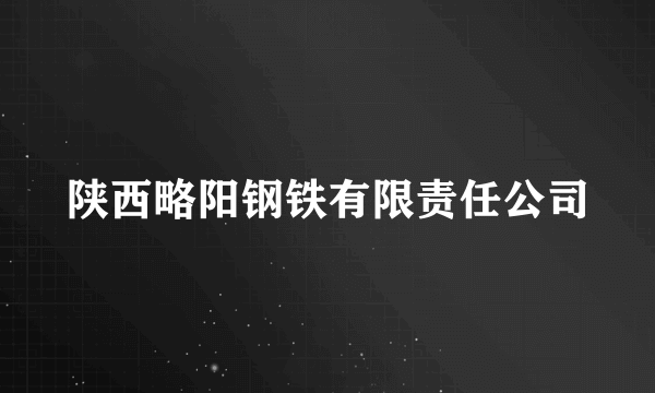 陕西略阳钢铁有限责任公司