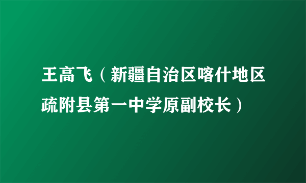 王高飞（新疆自治区喀什地区疏附县第一中学原副校长）