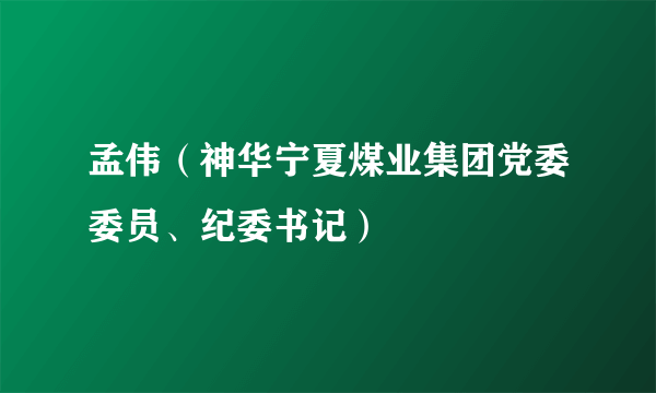 孟伟（神华宁夏煤业集团党委委员、纪委书记）