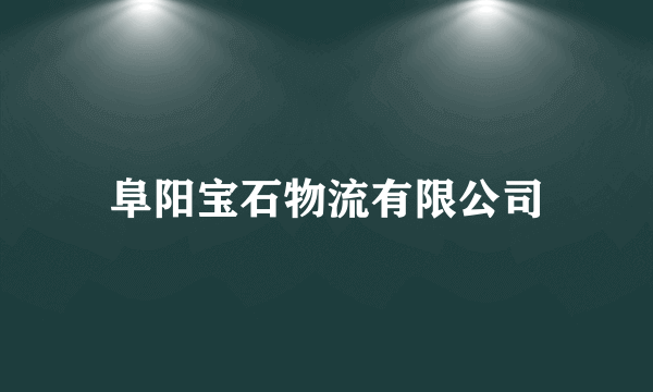 阜阳宝石物流有限公司