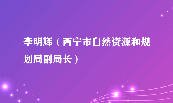李明辉（西宁市自然资源和规划局副局长）