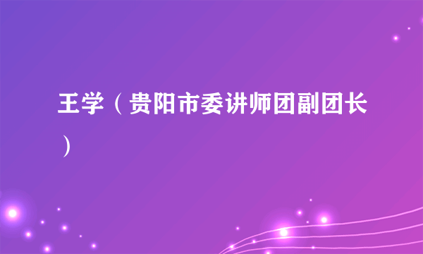 王学（贵阳市委讲师团副团长）
