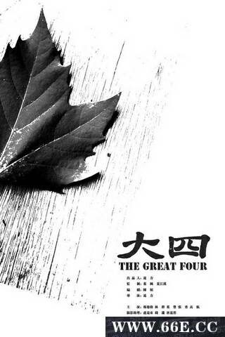 大四（纪录片）
