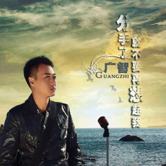 分手了就不要再想起我（广智演唱的歌曲）