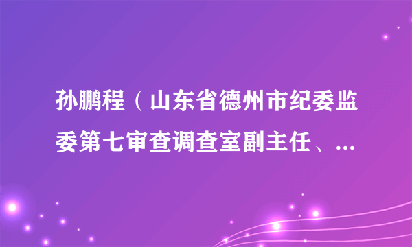 孙鹏程（山东省德州市纪委监委第七审查调查室副主任、一级主任科员）