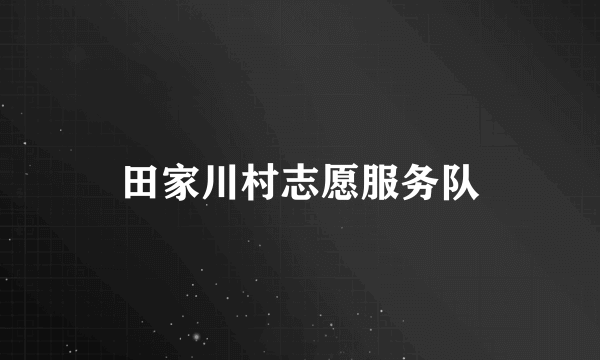 田家川村志愿服务队
