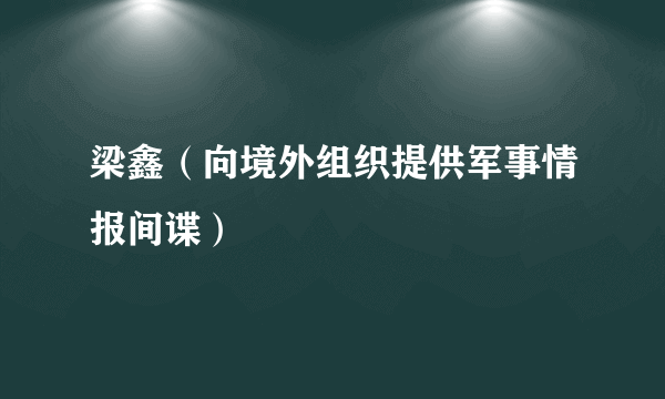 梁鑫（向境外组织提供军事情报间谍）
