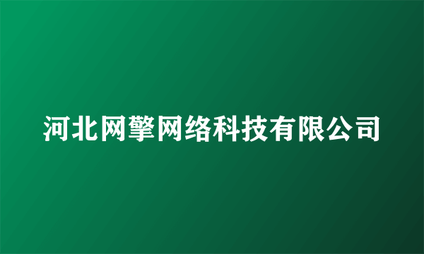 河北网擎网络科技有限公司