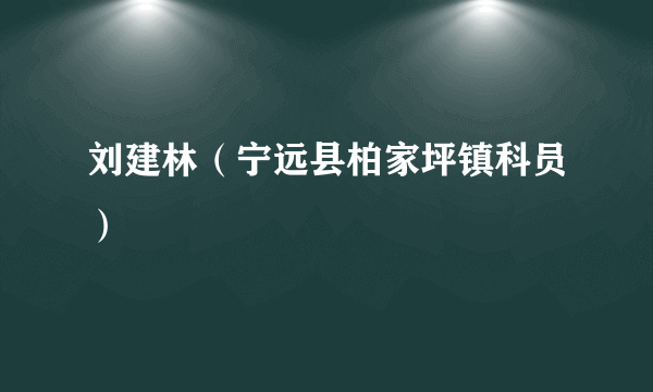 刘建林（宁远县柏家坪镇科员）