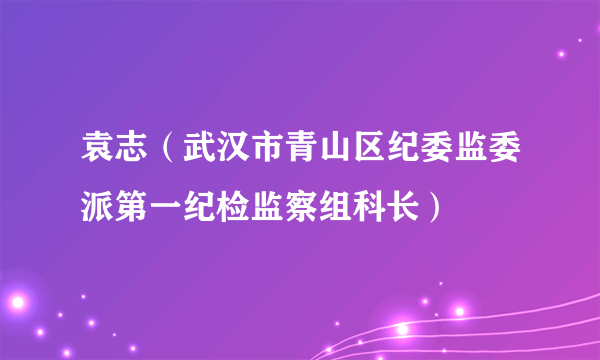 袁志（武汉市青山区纪委监委派第一纪检监察组科长）