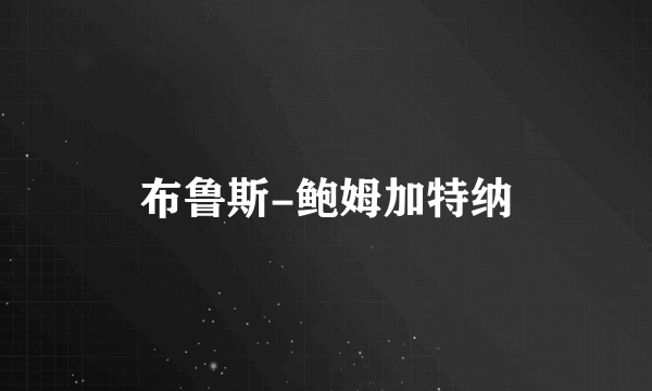 布鲁斯-鲍姆加特纳