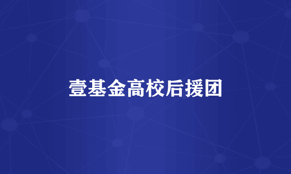 壹基金高校后援团