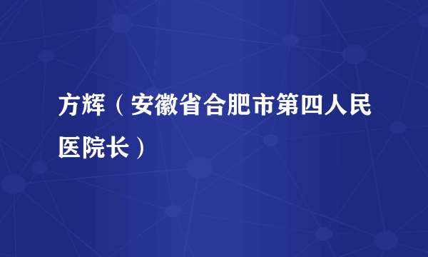 方辉（安徽省合肥市第四人民医院长）