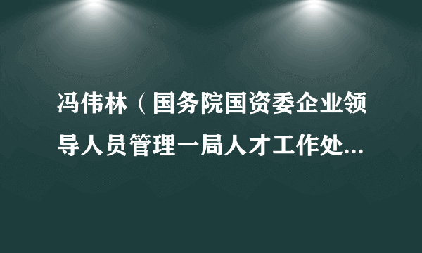 冯伟林（国务院国资委企业领导人员管理一局人才工作处（培训处）副处长）