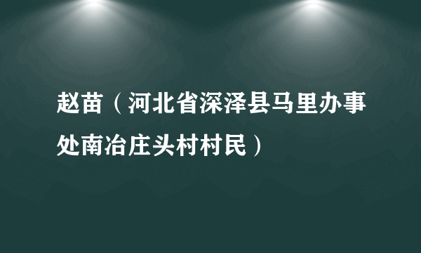 赵苗（河北省深泽县马里办事处南冶庄头村村民）