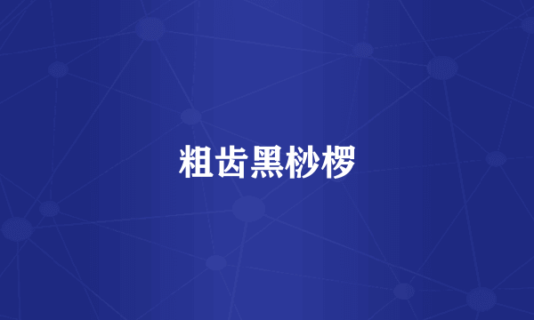 粗齿黑桫椤