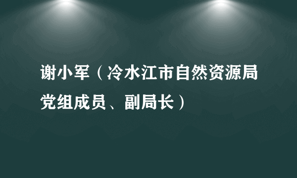 谢小军（冷水江市自然资源局党组成员、副局长）