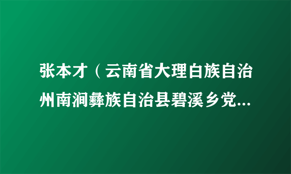 张本才（云南省大理白族自治州南涧彝族自治县碧溪乡党委副书记、乡长）