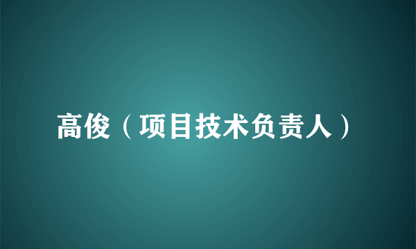 高俊（项目技术负责人）