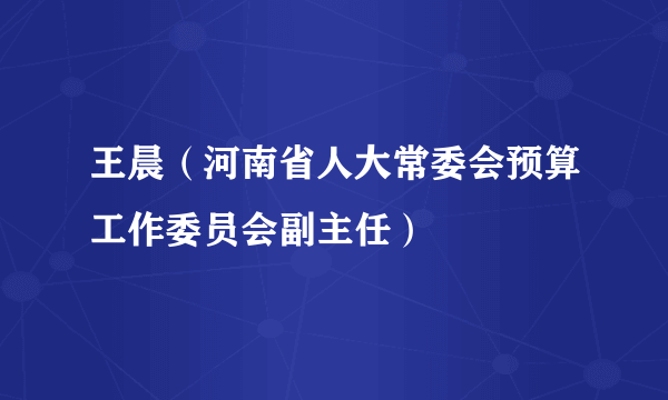 王晨（河南省人大常委会预算工作委员会副主任）