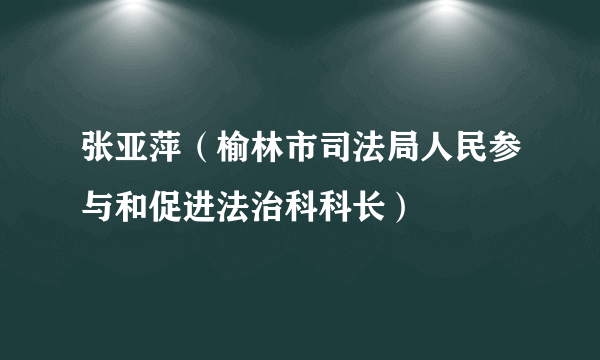 张亚萍（榆林市司法局人民参与和促进法治科科长）