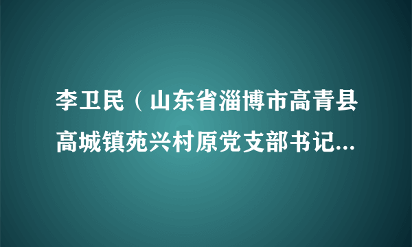 李卫民（山东省淄博市高青县高城镇苑兴村原党支部书记、村委会主任）