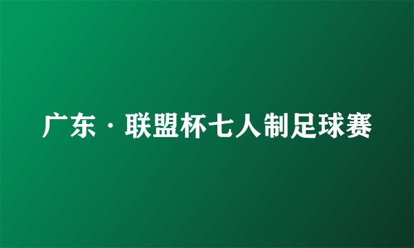 广东·联盟杯七人制足球赛