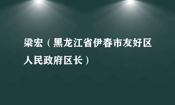 梁宏（黑龙江省伊春市友好区人民政府区长）