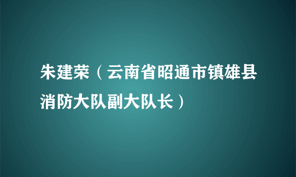 朱建荣（云南省昭通市镇雄县消防大队副大队长）