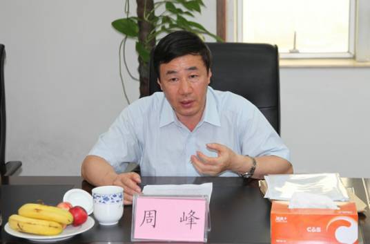 周峰（最高人民法院刑事审判四庭原庭长）